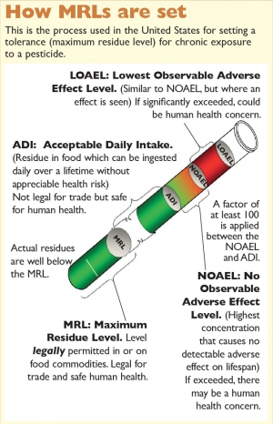 How MRLs are set