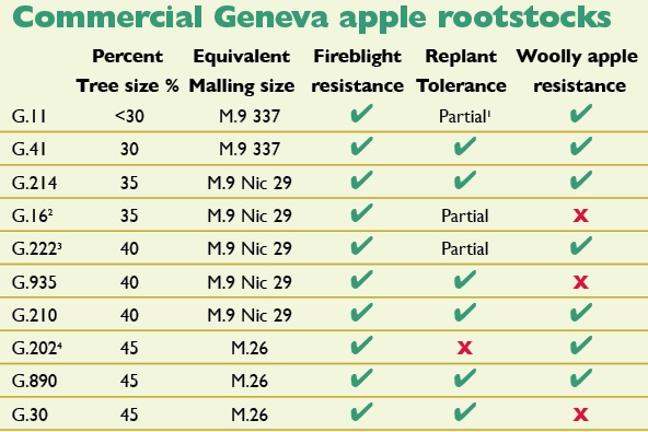 - 1 Partial indicates some tolerance, better than M.9. - 2 G.16 is not recommended due to its virus sensitivity, lack of replant and woolly resistance. - 3 G.222 is a M.9 equivalent in Washington State trials. - 4 G.202 is not as productive as other genotypes and is not shown to be replant tolerant in Washington State. SOURCE: Tom Auvil, Washington Tree Fruit Research Commission.