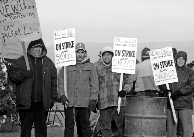 Snokist cannery workers have been on strike since September. Marcos Gonsales Memozio Bustos, Francisco Moreno, and Norma Abila picket outside the plant in Yakima, Washington. (Jim Black/Good Fruit Grower)
