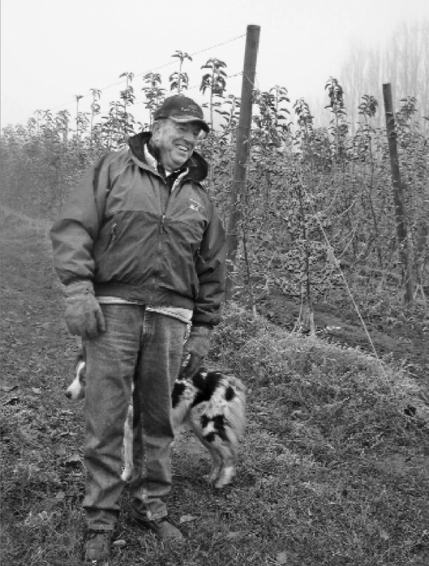 Jack Pheasant hoped to emulate the British Columbia approach to growing ­Ambrosia.  (Geraldine Warner/Good Fruit Grower)