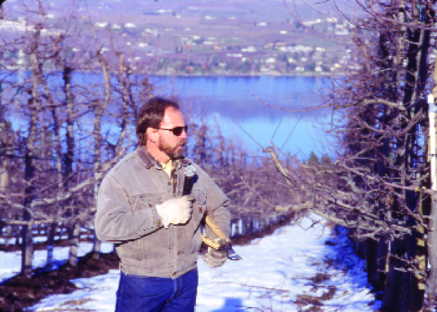 Ray Fuller of Stormy Mountain ­Orchard near Chelan, Washington, speaks to the IDFTA tour group in one of his high density organic ­orchard blocks.