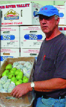 Tim Pearson, Medford, Oregon, will be using laser technology on a limited basis on Bosc pears this ­season.