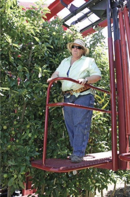 Karen Lewis tries out a new multirow orchard platform. 