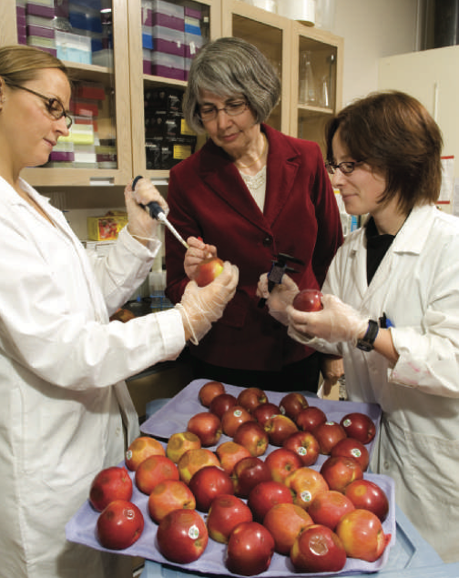 Dr. Louise Nelson, center, and students Daylin Mantyka, left, and Danielle Hirkala check apples at the University of British Columbia.