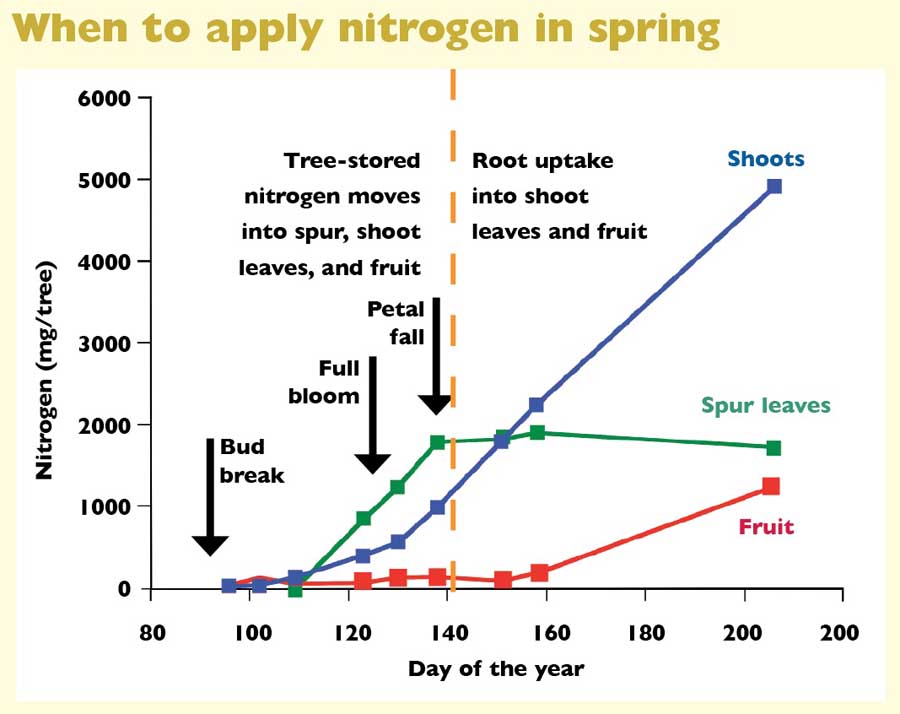 When to apply nitrogen in spring