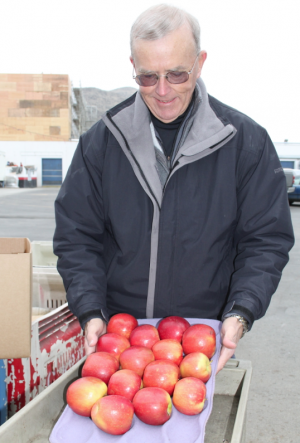 Tom Auvil, research horticulturist with the Washington Tree Fruit Research Commission, is impressed with the condition of WA 38 apples after four months in regular storage. (Geraldine Warner)