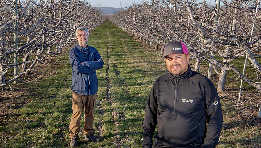 Washington H-2A worker Luis Alejandro Barrera, right, is applying for a patent for his padded picking harness with the help of Erik Nicholson, a former union executive who has started a nonprofit to encourage farmworker innovation. (Ross Courtney/Good Fruit Grower)