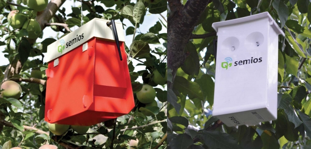 (Right) SemiosBio’s insect traps are equipped to wirelessly transmit information regarding insect counts to growers. (Left) The SemiosBio’s wreless network enables growers to remotely control pheromone puffers to fine tune insect control. (Photos Courtesy of SemiosBio Technologies Inc. 