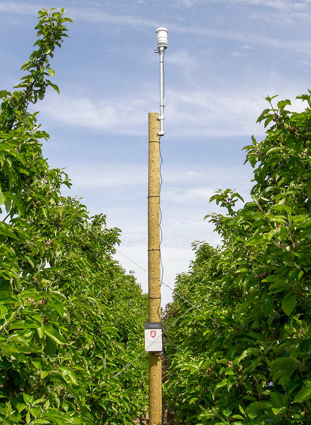 A weather station is mounted high within an orchard row. (Kate Prengaman/Good Fruit Grower)