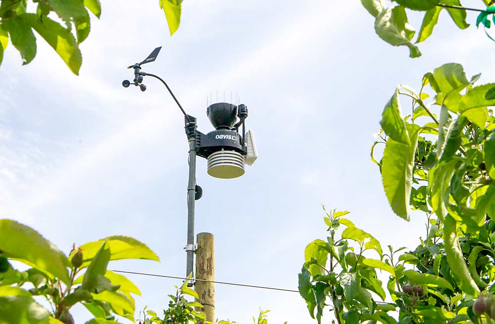 This Davis Instruments weather station collects its data just one row away from an ATMOS 41 weather station. One of the goals of the project was to include multiple suppliers for different types of sensors, said research commission director Ines Hanrahan, to find the most robust and reliable solutions for growers. (Kate Prengaman/Good Fruit Grower)