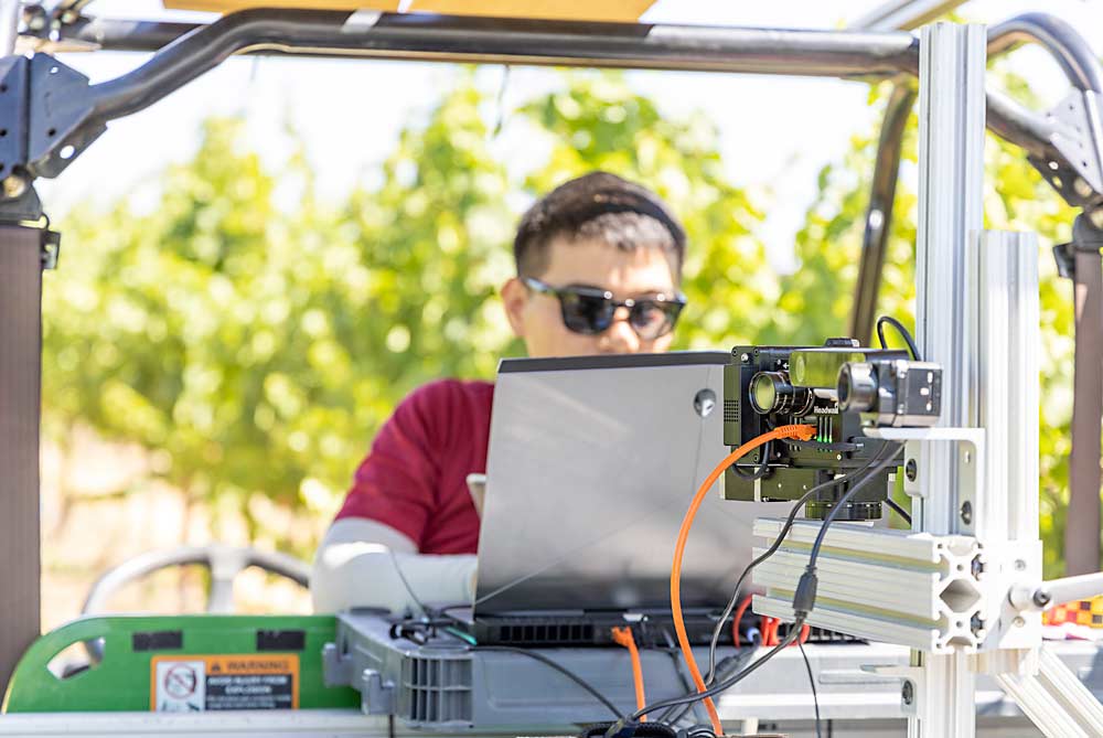 Washington State University graduate student Chenchen Kang sets up a new hyperspectral sensor system as part of the Smart Irrigation project in Prosser in July. (Kate Prengaman/Good Fruit Grower)