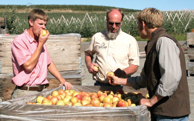 Dwayne Bowman, center, checks on their Honeycrisp harvest as he samples apples with his son Josh, left, and son-in-law Trent Graybill. (Melissa Hansen/Good Fruit Grower)