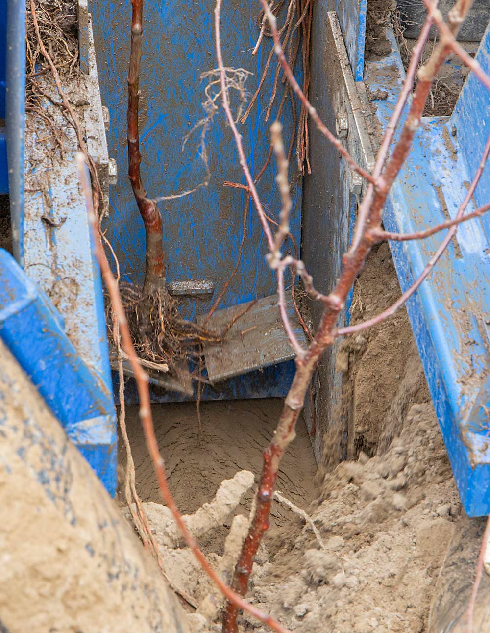 Company owner Andy Freepons built trapdoors that sync with GPS mapping to more precisely space trees. Workers riding along need only hold a tree in place and let it slide into the furrow when the door opens. (Ross Courtney/Good Fruit Grower)