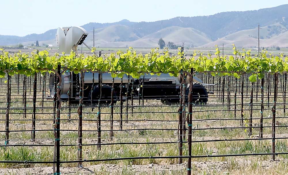 An autonomous sprayer, the Mini GUSS, traverses the vineyard at Monterey Pacific during the Precision Viticulture Demo Day in April. (Courtesy Donnell Brown/National Grape Research Alliance)