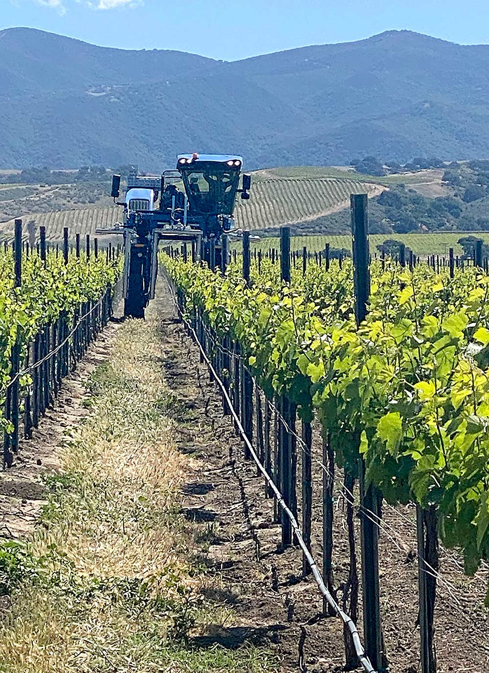 A driver-optional precision grape harvester from New Holland, demonstrated by Valley Farm Management. (Courtesy Donnell Brown/National Grape Research Alliance)