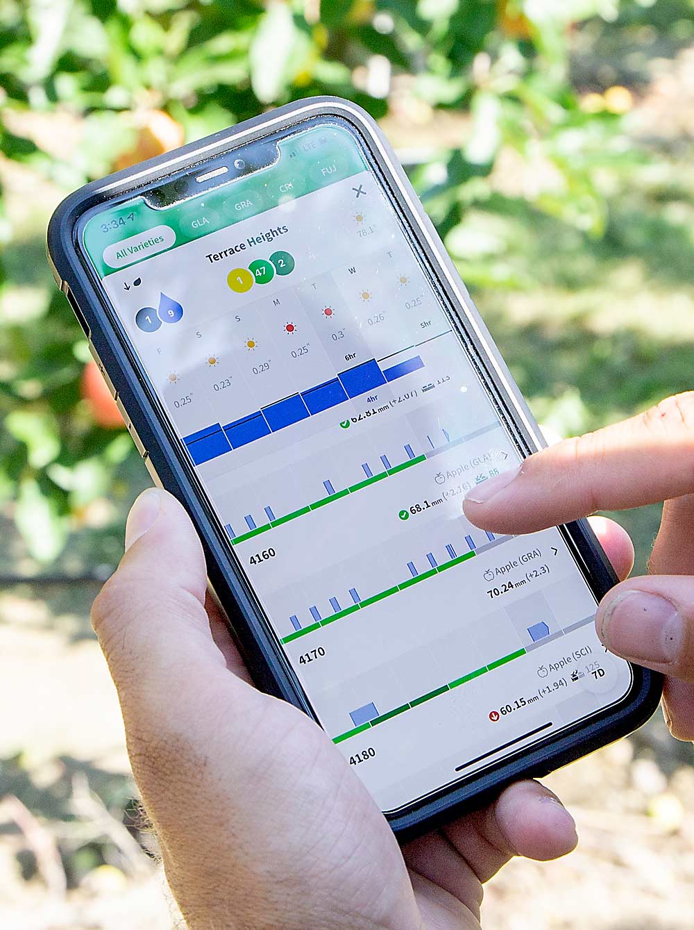 Israeli agriculture technology company Phytech offers growers an app that combines information from trunk dendrometers and fruit calipers, which measure growth rates and water-stress-driven fluctuations in those growth rates, with more common irrigation management metrics, such as tracking water applied and weather conditions, to help growers get more “visibility” about how they are irrigating and how their trees are responding, said Travis Klicker from Phytech. (Kate Prengaman/Good Fruit Grower)
