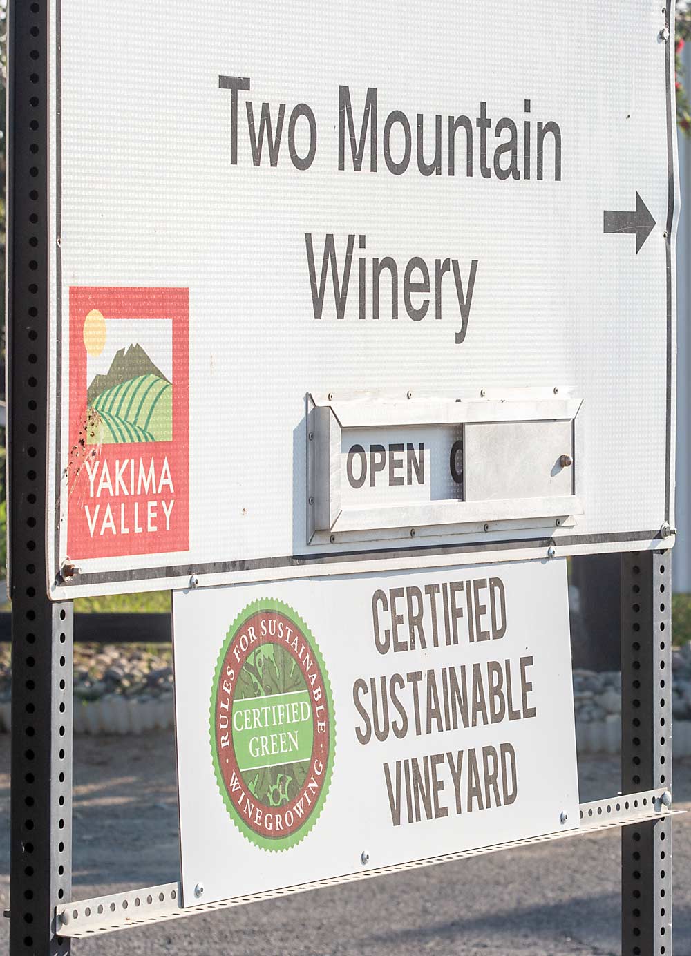 Two Mountain Winery near Zillah, Washington, currently participates in the California-based Lodi Rules certification until Washington industry officials finish development of their own sustainability certification program. (Ross Courtney/Good Fruit Grower)