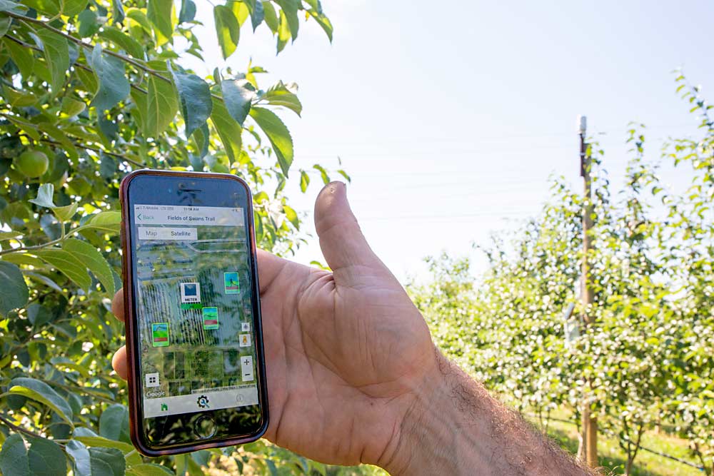 Nate Krause of Swans Trail Farms in Snohomish County, Washington, shows smartphone readings of soil moisture levels and a weather station, visible in the background, in one of his apple blocks. Swans Trail is one of two early agricultural test sites for the 5G Open Innovation Lab, a broad Seattle-based effort to find new ways to use digital technology in a wide array of industries, including agriculture. (Ross Courtney/Good Fruit Grower)