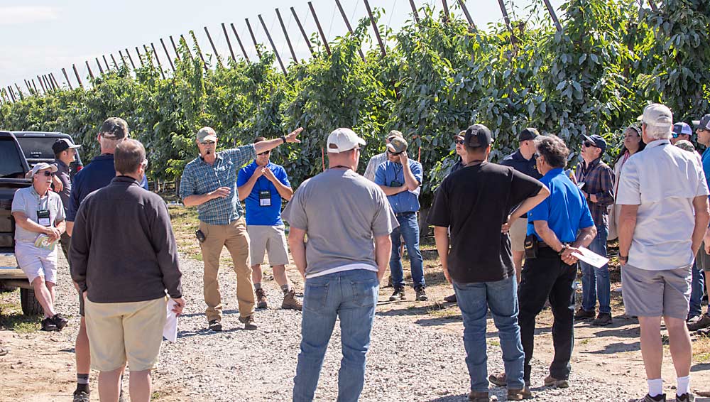 Cherry grower Denny Hayden points to several trials of Coral Champagne cherries on Michigan State University dwarfing rootstocks during the first day of the 2022 International Fruit Tree Association Summer Study Tour at a visit to Hayden’s Pasco, Washington, farm on July 18. (TJ Mullinax/Good Fruit Grower)