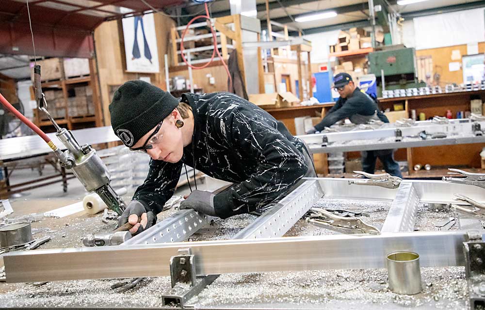 Jeremiah Hart, left, and Jesus Padilla build new ladders at Tallman Ladders in November in Hood River, Oregon. As the fruit industry mechanizes and automates, a handful of companies in the United States still build thousands of ladders every year, mostly by hand. (Ross Courtney/Good Fruit Grower)