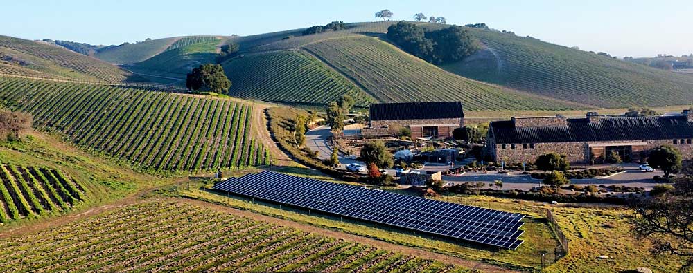Niner Wine Estates in Paso Robles first began certifying its sustainable farming practices in 2016. Owner Andy Niner sees the changes to vineyard management as “being super-thoughtful about how we’re farming, and limiting inputs to the bare minimum.” (Courtesy Niner Wine Estates)