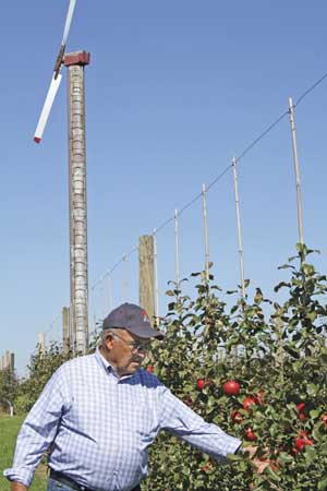 Thome Orchards had one of the earliest plantings of Royal Red Honeycrisp, something found out about traveling with Neal Manly at Willow Drive Nursery on a trip sponsored by International Fruit Tree Association. The wind machine in the backgound is one of seven, an practice he learned about on another IFTA trip. (Richard Lehnert/Good Fruit Grower)
