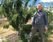 Courtesy Dahle OrchardsGrower Tim Dahle of The Dalles, Oregon, says there are advantages that come from having test plots in his orchards. “We do it to learn and develop best practices — that’s the No. 1 thing. And there is some value in being the first to learn some of these practices.”
