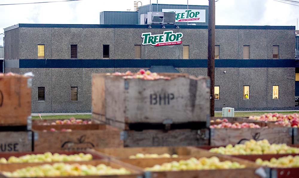 Trucks carrying bins of apples line up at the scale in December at the Tree Top processing plant in Prosser, Washington. The company plans to expand the capacity of the Prosser location to make room for puree processing, currently done in Medford, Oregon. (Ross Courtney/Good Fruit Grower)