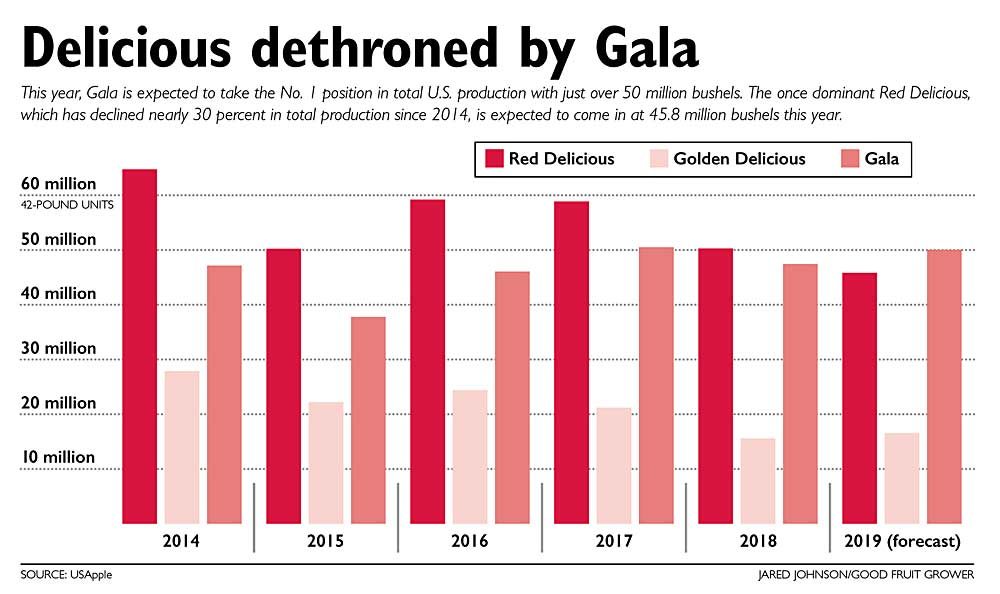 This year, Gala is expected to take the No. 1 position in total U.S. production with just over 50 million bushels. The once dominant Red Delicious, which has declined nearly 30 percent in total production since 2014, is expected to come in at 45.8 million bushels this year. (Source: USApple; Illustration: Jared Johnson/Good Fruit Grower)