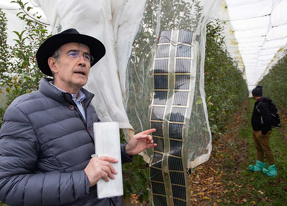 Corelli Grappadelli explains an experiment with photovoltaic plastic sheets on orchard netting, saying they didn’t hold up against the weather, they were expensive, and some of Italy’s fruit-growing regions have laws about the visual appearance of orchard netting. (Ross Courtney/Good Fruit Grower)