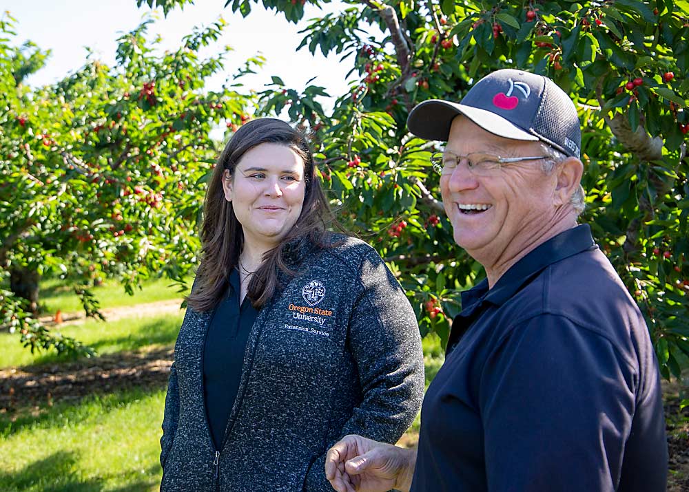 Ashley Thompson (left) and orchardist John Byers laugh about a few of their disagreements in detecting viruses and what to do about them. (Ross Courtney/Good Fruit Grower)