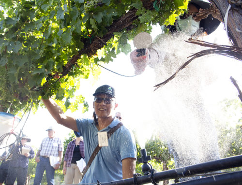 On hot viticulture field day, cooling system an appropriate highlight