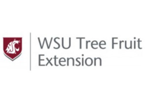 WSU’s 2023 North Central Washington Tree Fruit Days announced