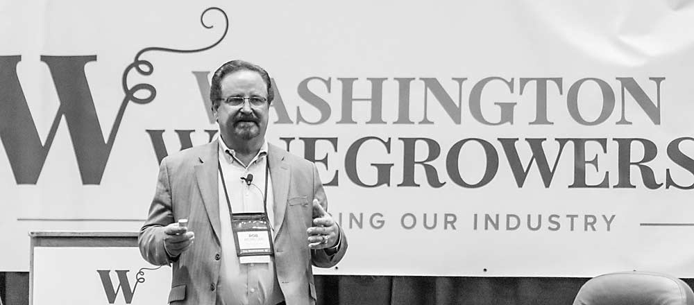 Rob McMillan, Silicon Valley Bank, speaking on day 1 of the 2020 Washington Winegrowers Association annual meeting: We need to completely renovate wine tasting rooms to include fun elements to attract millennials. Like ax throwing, dart contests, cornhole matches. (TJ Mullinax/Good Fruit Grower)