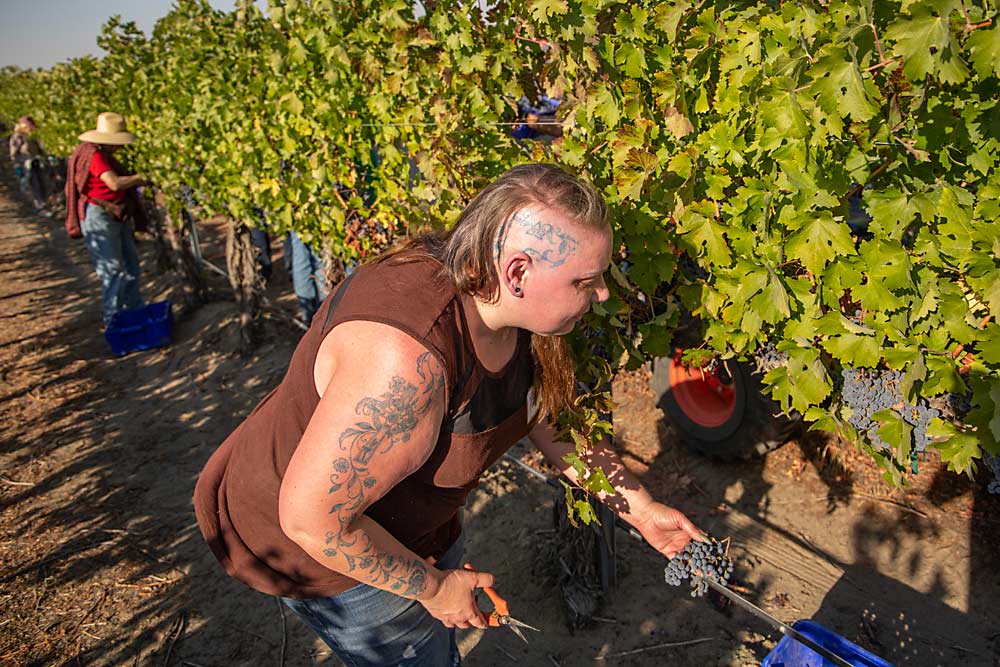 Many participants came from a church in Richland, but several hailed from even farther, such as Angela Davis from Grand Ronde, Oregon. (Ross Courtney/Good Fruit Grower)