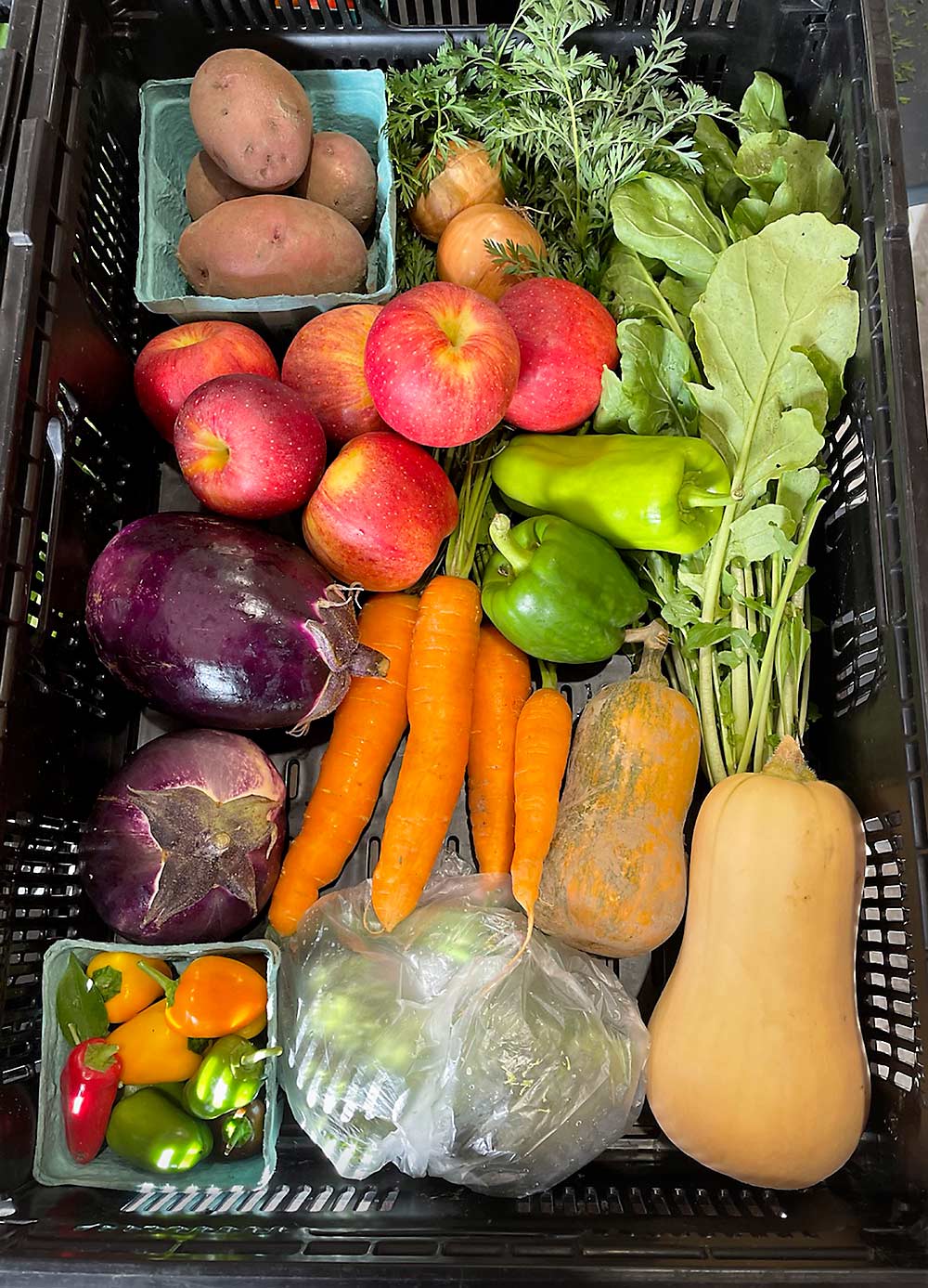 The “Grab & Go” share at Wickham Farms, including apples from the 5-acre U-pick orchard. This is the smallest share offered by the New York farm’s CSA program, which has expanded in the past couple of years. (Courtesy Debbie Wickham)