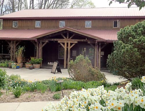 Innovations and renovations for Indiana’s Oliver Winery