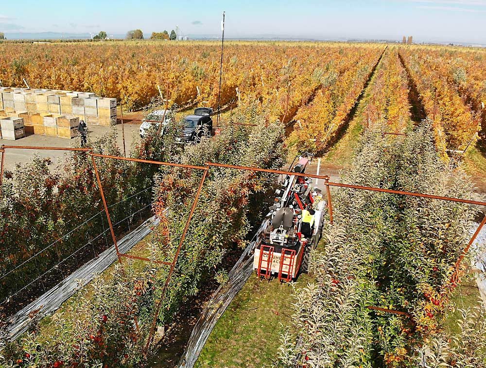 This version of the Abundant Robotics picker reaches apples up to 7 feet off the ground. A version under construction in California will pick apples up to 12 feet high on the tree. (TJ Mullinax/Good Fruit Grower)