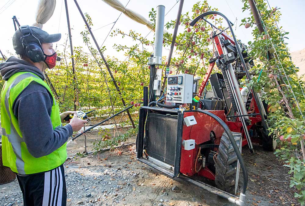 Nathan Baird pilots the robot into a row by remote control. Once in the row, the machine will steer itself. (TJ Mullinax/Good Fruit Grower)