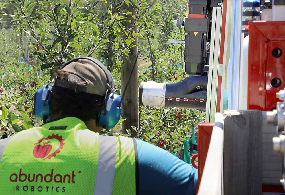 An Abundant Robotics employee monitors the end effector of the company's latest version of their robotic apple harvester at a T&G Global orchard in New Zealand in February 2019. The end effector uses a strong vacuum to pick apples from modern tree systems and deliver the fruit into a bin located at the rear of the machine. (Courtesy Abundant Robotics)