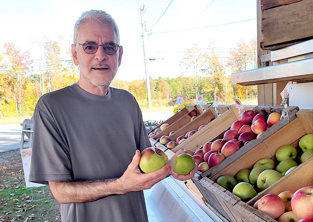 Adam Auster shopping for apples at Stone Mountain Farm in Belmont, New Hampshire, in October. He’s reviewed more than 300 varieties on his blog, so new apples are getting harder to come by. (Courtesy Judy Elliott)