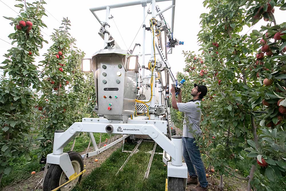 Roshan Bal of advanced.farm troubleshoots one of the end effectors on the company’s robotic harvester. (TJ Mullinax/Good Fruit Grower)