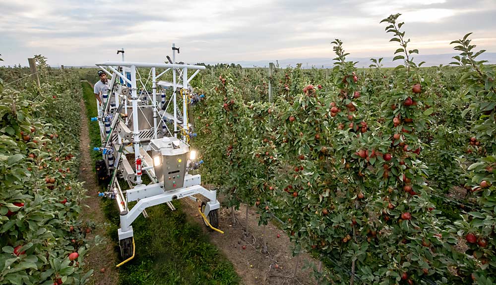 Advanced.farm tested its robotic apple harvest machine in a Quincy, Washington-area block in October. The Washington Tree Fruit Research Commission wants to help technology companies and growers address the barriers facing automated harvest and other innovative advances with a new technology roadmap. (TJ Mullinax/Good Fruit Grower)