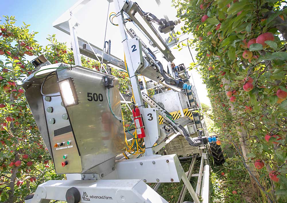 The six-armed advanced.farm robotic harvester picks apples in October in Quincy, Washington. In their second year of trials, developers are experimenting with different suction cup material and picking with and without a first pass by a defoliator. Note the thicker foliage on top of this canopy compared to the defoliated section below. (TJ Mullinax/Good Fruit Grower)
