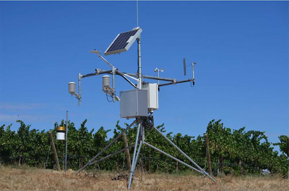 AgWeatherNet officials at Washington State University suspect thieves have recently stolen two weather stations worth about $10,000 each. (Courtesy Washington State University AgWeatherNet)