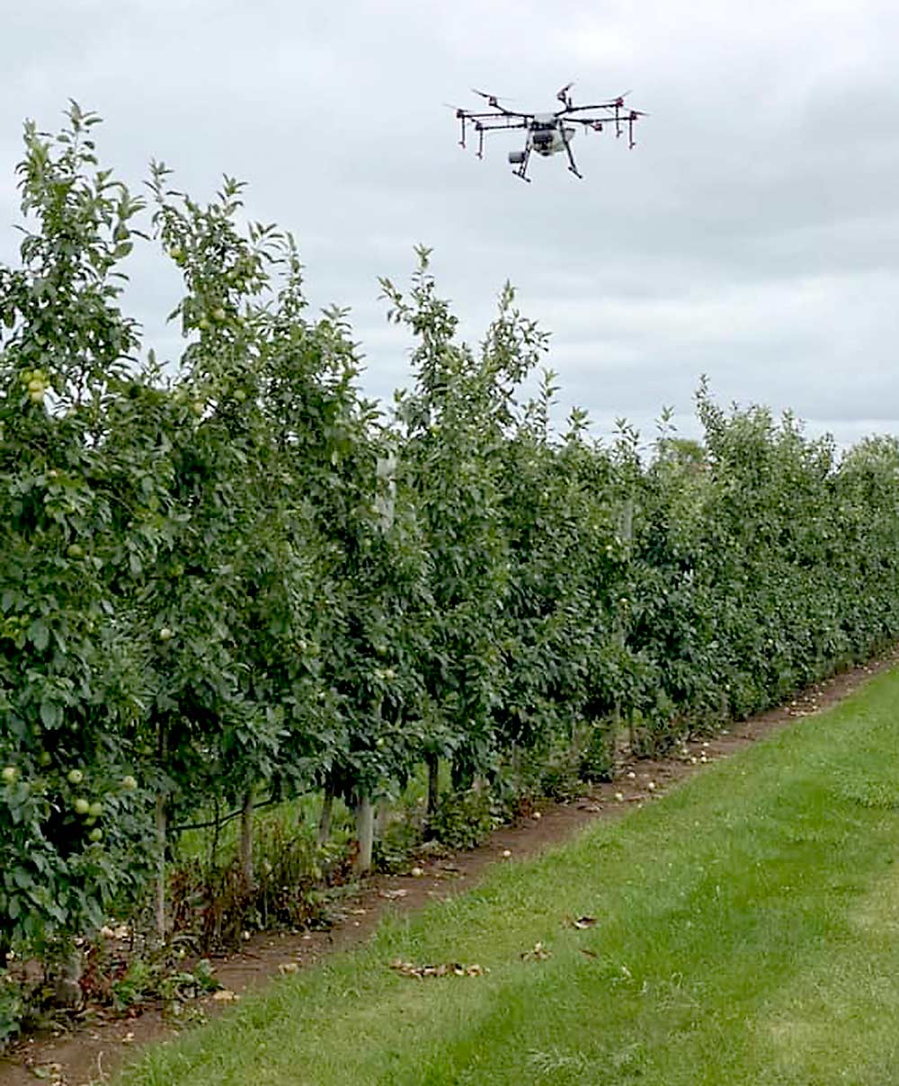 The DJI Agras MG-1P drone flying over a Wisconsin apple orchard. It’s spraying water as part of a field demonstration. (Courtesy Aerial Ag Technologies)