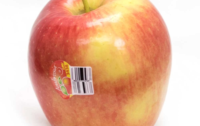 The U.S. patent on the Ambrosia apple, the popular Canadian variety known for its sweet flavor and blush color, expires this month, meaning nurseries will start propagating it for all growers later this summer. (TJ Mullinax/Good Fruit Grower)