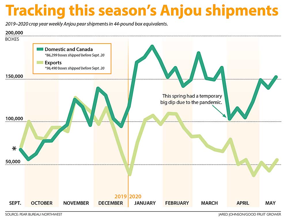 2019–2020 crop year weekly Anjou pear shipments in 44-pound box equivalents. (Source: Pear Bureau Northwest, Graphic: Jared Johnson/Good Fruit Grower)