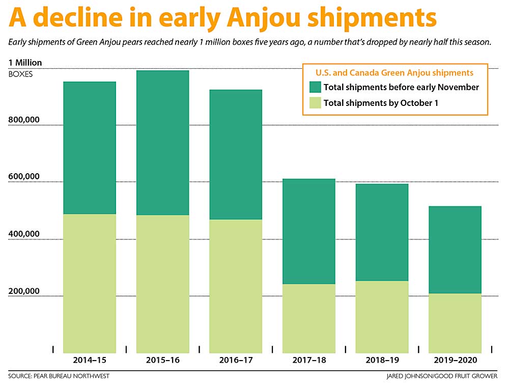 Early shipments of Green Anjou pears reached nearly 1 million boxes five years ago, a number that’s dropped by nearly half this season. (Source: Pear Bureau Northwest, Graphic: Jared Johnson/Good Fruit Grower)