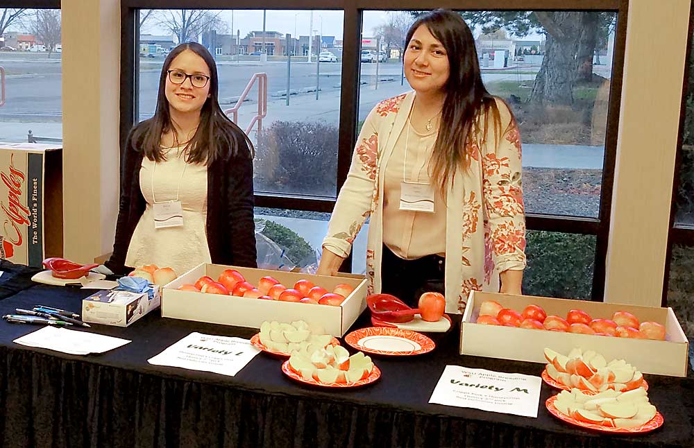 Washington Tree Fruit Research Commission interns Blanca Ruiz and Jessica Ramirez assess informal consumer acceptance at a tree fruit industry meeting in 2018. (Courtesy Manoella Mendoza/Washington Tree Fruit Research Commission)